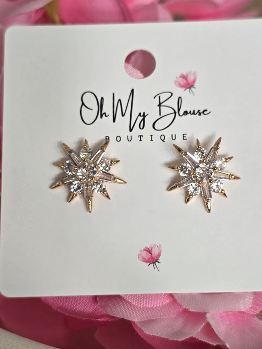 Arctic Stars Earrings