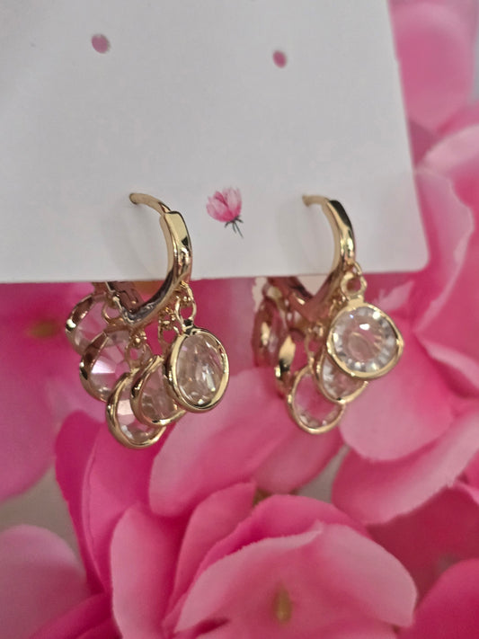 Crystal Charm Earrings